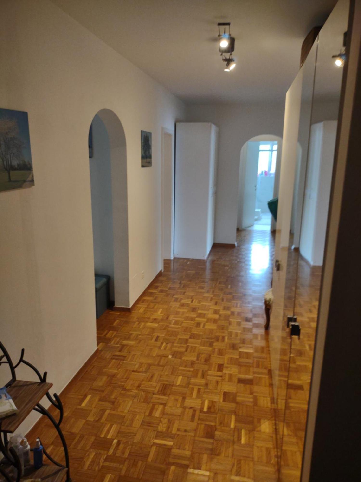 Appartamento Bellavista Lugano Massagno المظهر الخارجي الصورة